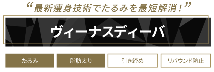 寝ているだけのインナーマッスル強化今までの概念を「覆す」画期的マシンで理想体型に ヴィーナスディーバ